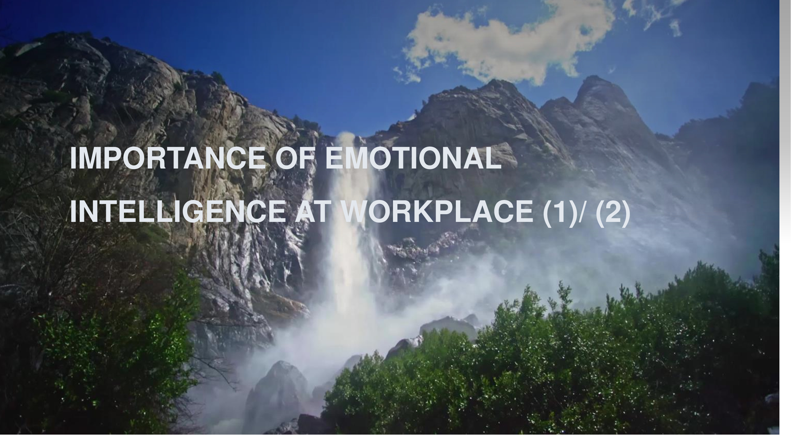 Understanding Workplace Operations